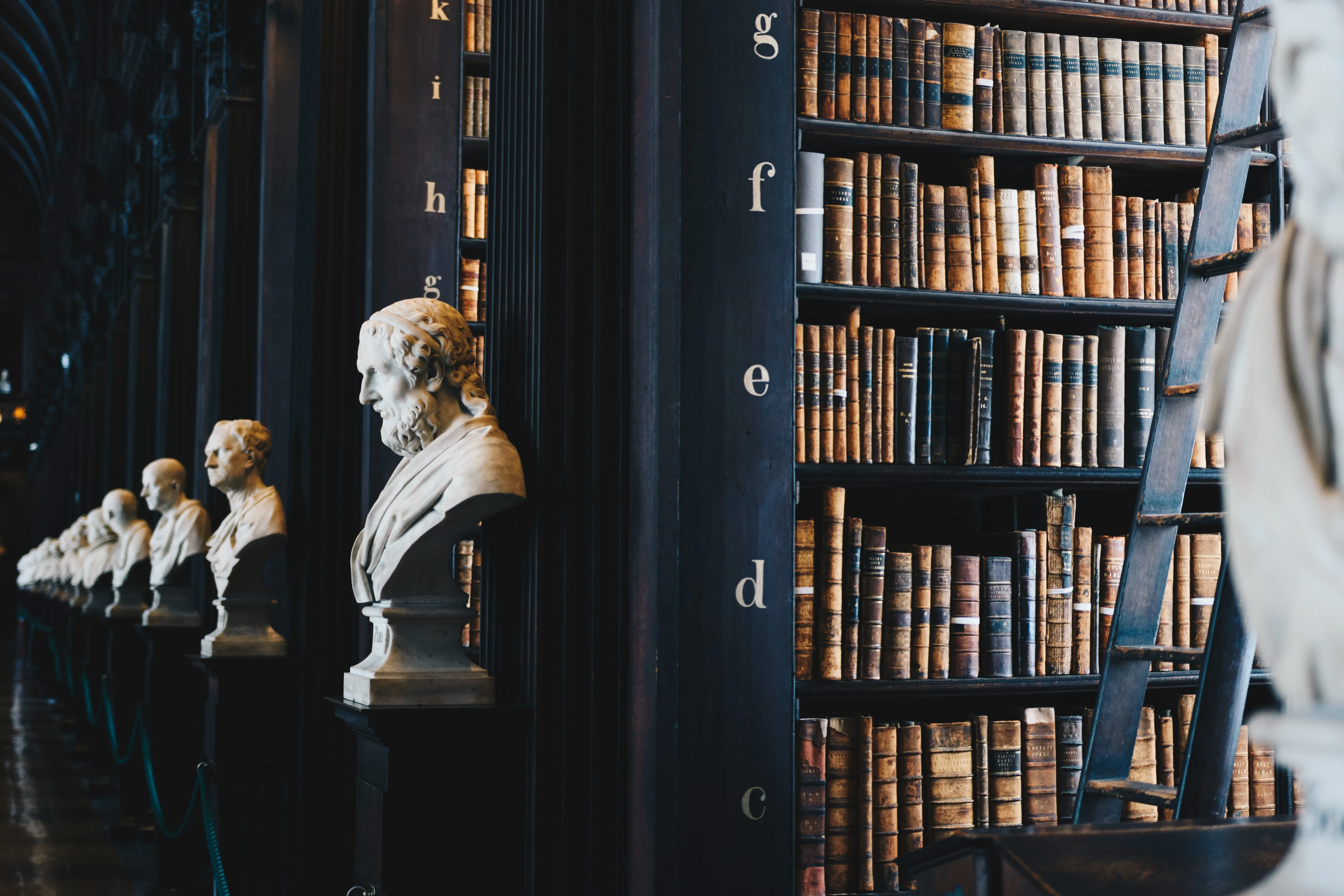 Marble busts lining the dark wooden bookshelves of an old library, a ladder leaning on the shelves