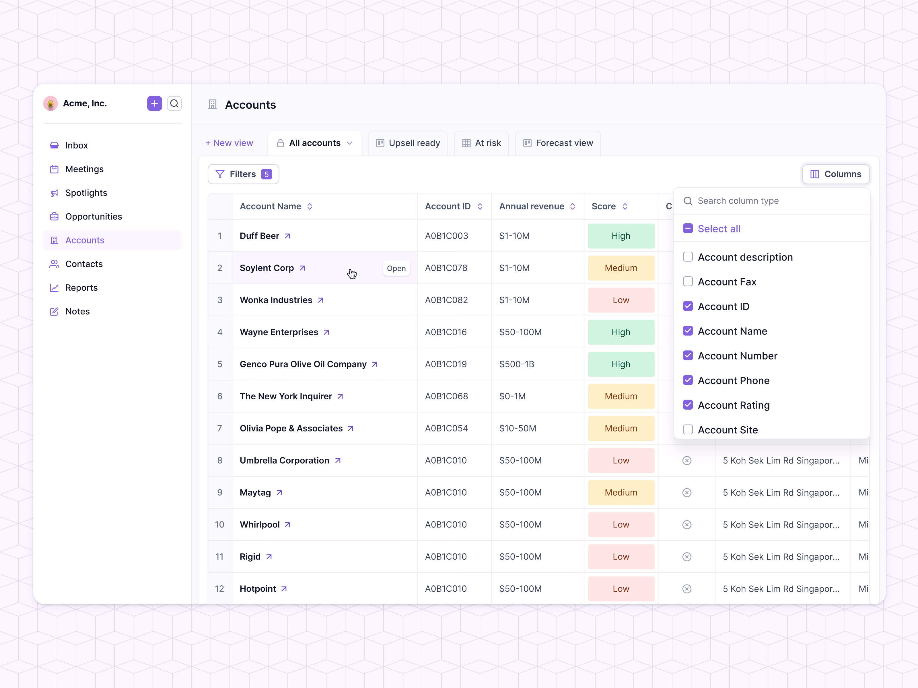 Accounts table column picker in Lantern's AI CRM