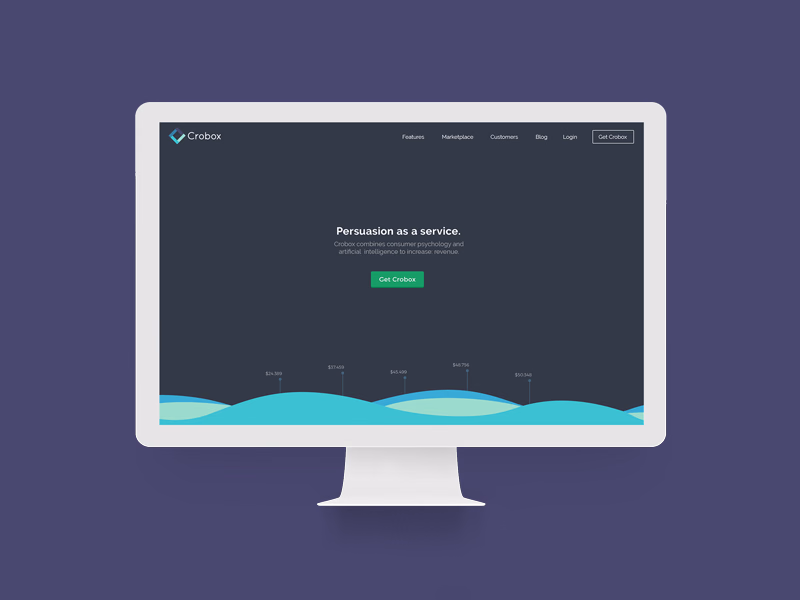 Crobox SaaS website hero and brand identity