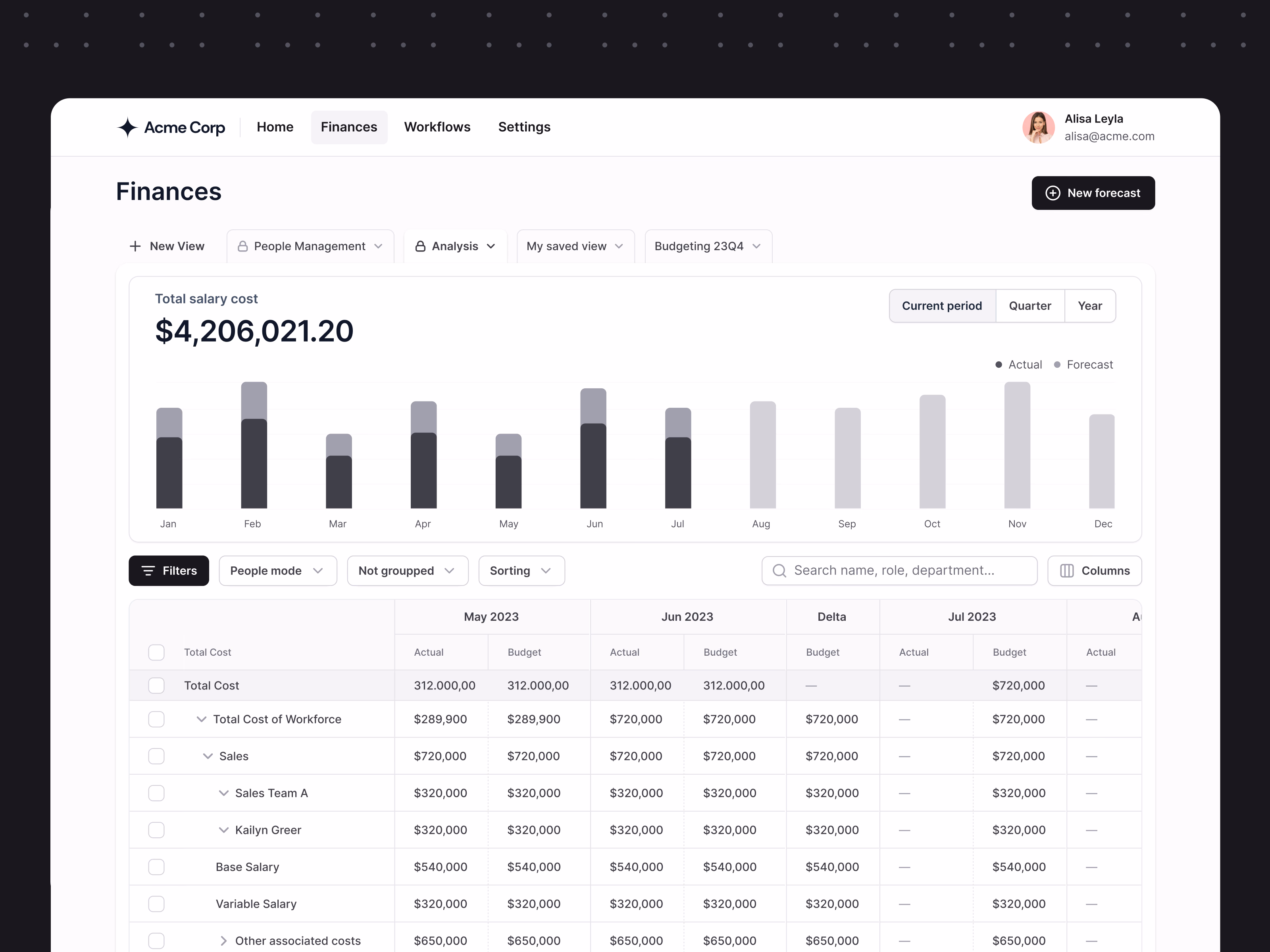 Salary cost forecast view for Horus