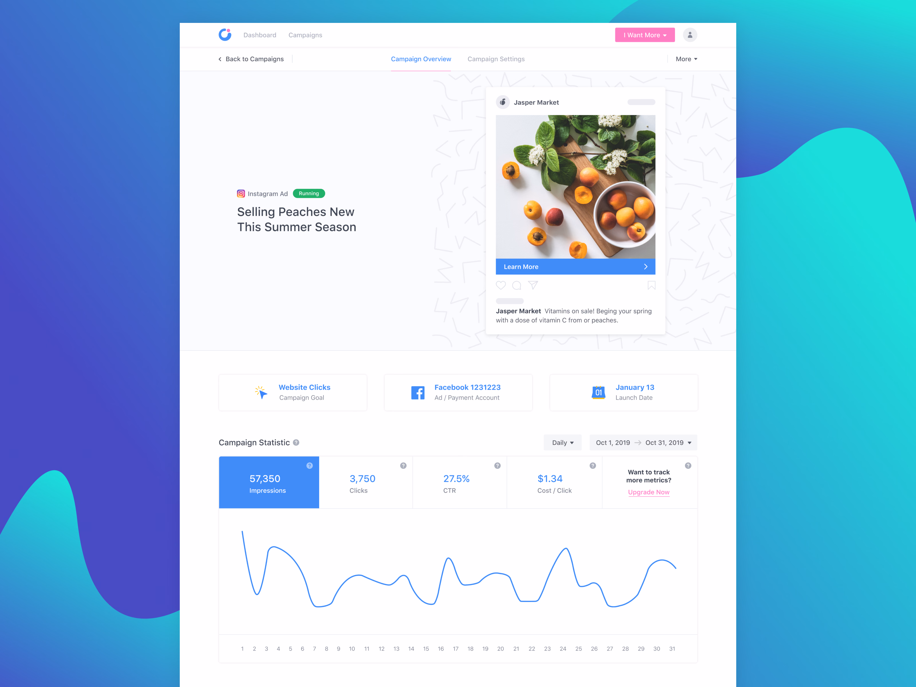 Instagram ad campaign report for Instaon