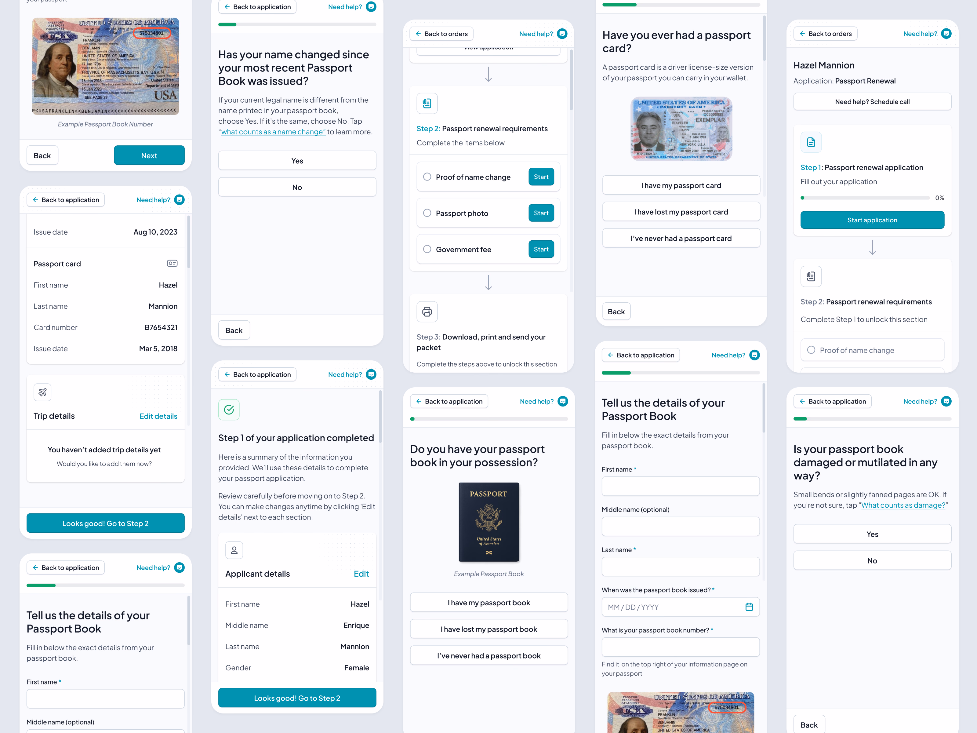 Mobile passport application form for HelloGov