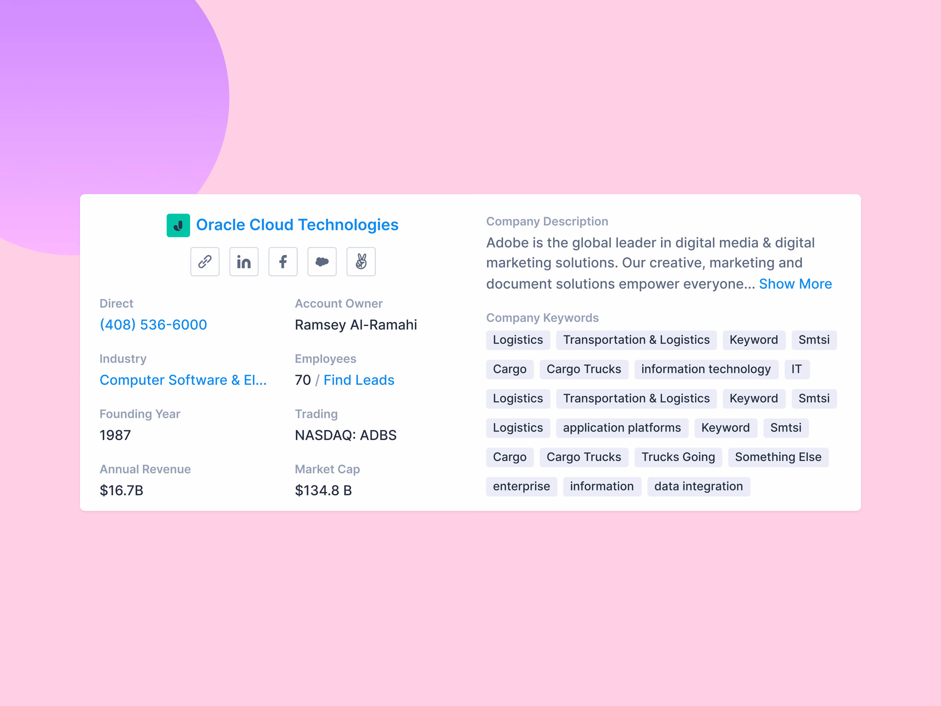 Company summary card on Apollo account pages